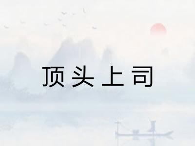 顶头上司