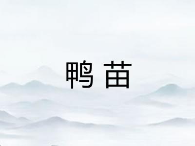 鸭苗