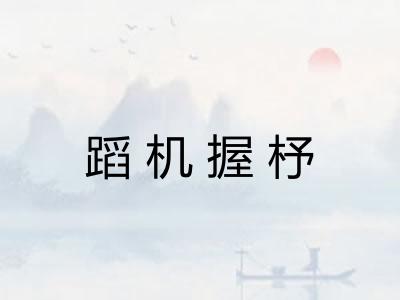 蹈机握杼