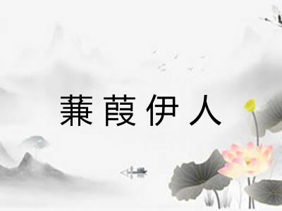 蒹葭伊人