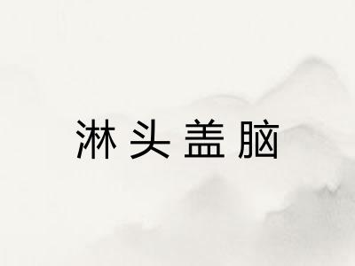 淋头盖脑