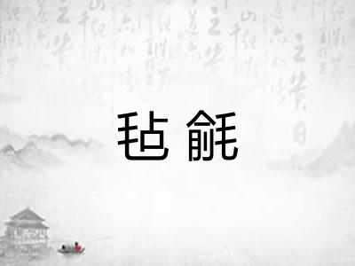 毡毹