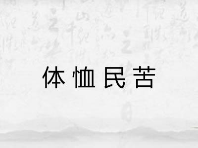 体恤民苦