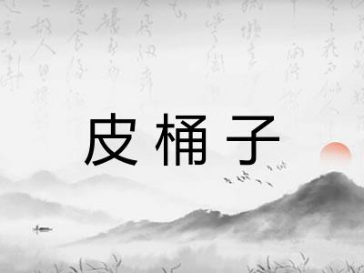 皮桶子