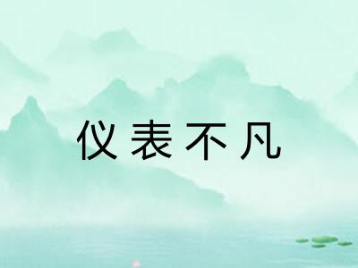 仪表不凡