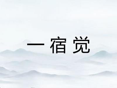 一宿觉