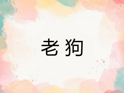 老狗