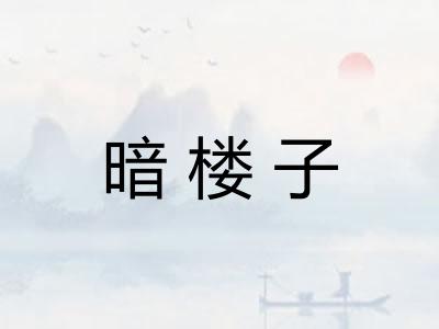 暗楼子