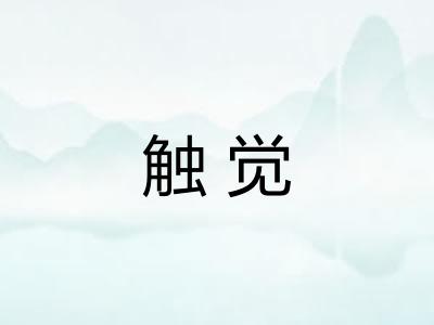 触觉