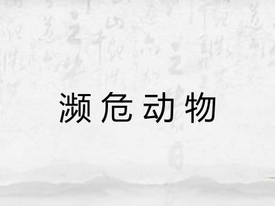 濒危动物