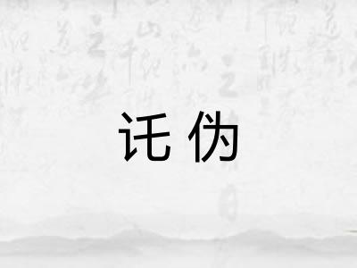 讬伪