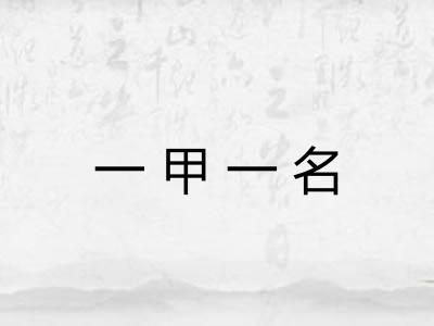 一甲一名