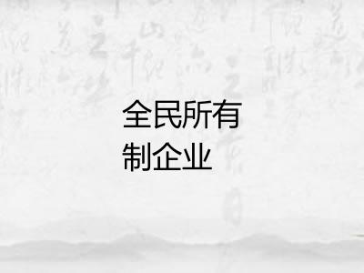 全民所有制企业