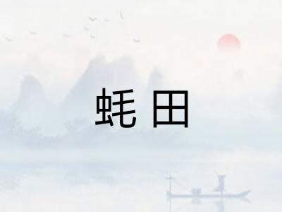 蚝田