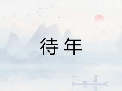 待年