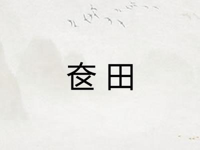 奁田
