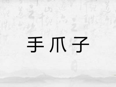 手爪子