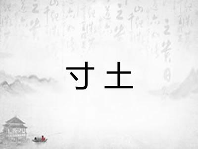 寸土