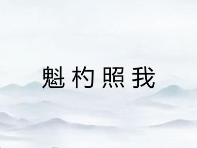 魁杓照我