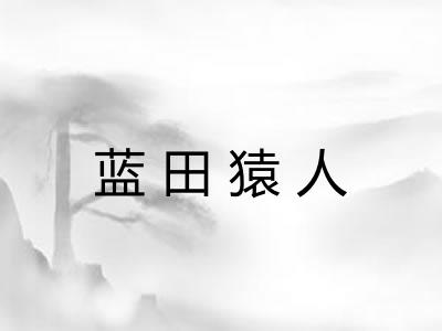 蓝田猿人