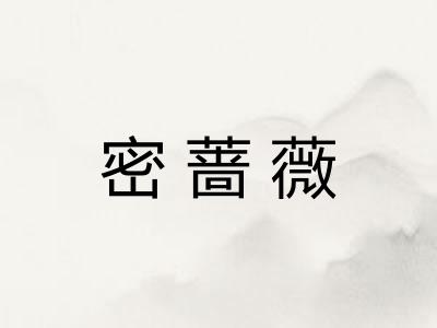 密蔷薇