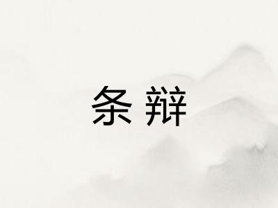 条辩