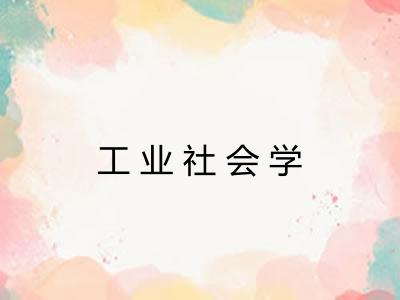 工业社会学