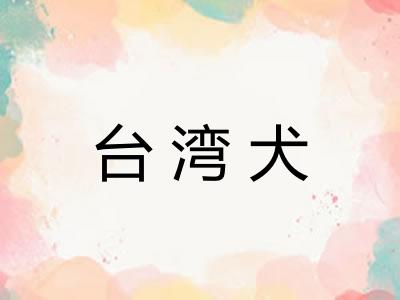 台湾犬