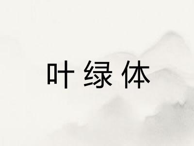 叶绿体
