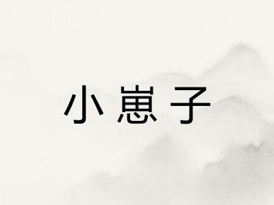 小崽子