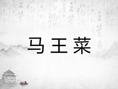 马王菜