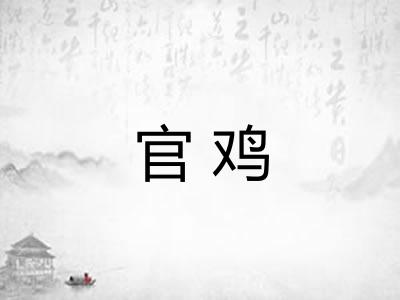官鸡