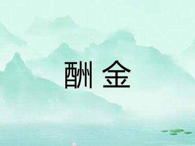 酬金