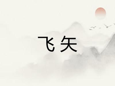 飞矢