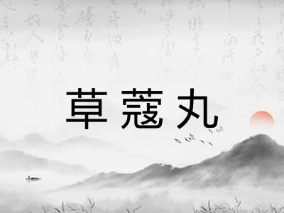 草蔻丸