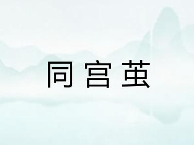 同宫茧