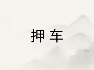 押车