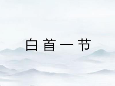 白首一节