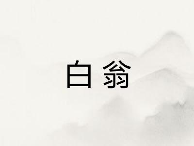 白翁