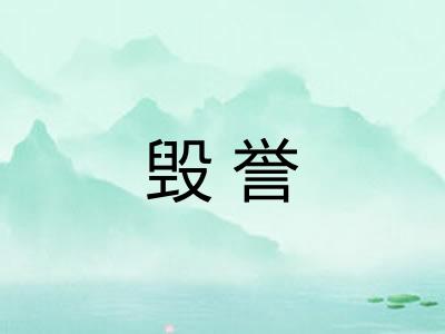 毁誉