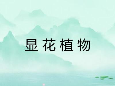 显花植物