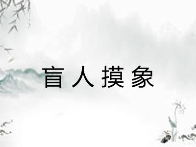 盲人摸象