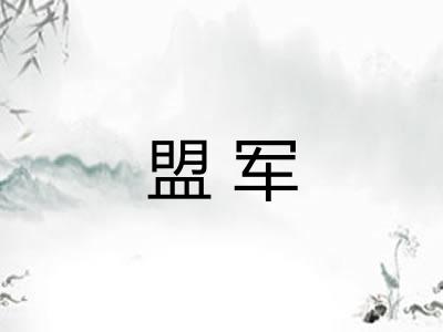 盟军