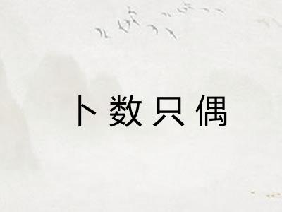 卜数只偶