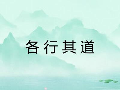各行其道