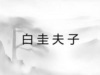 白圭夫子