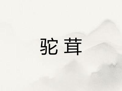 驼茸