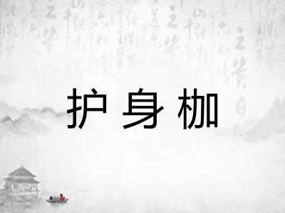 护身枷