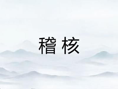 稽核