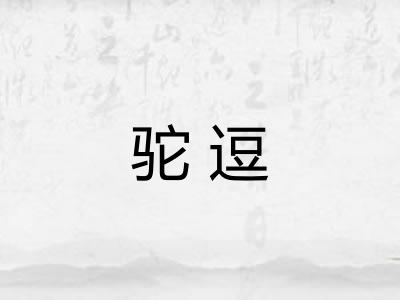 驼逗